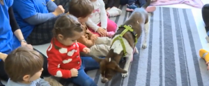 Parlano di noi......Pet Therapy e cooperazione sociale Parlano di noi......Pet Therapy e cooperazione sociale